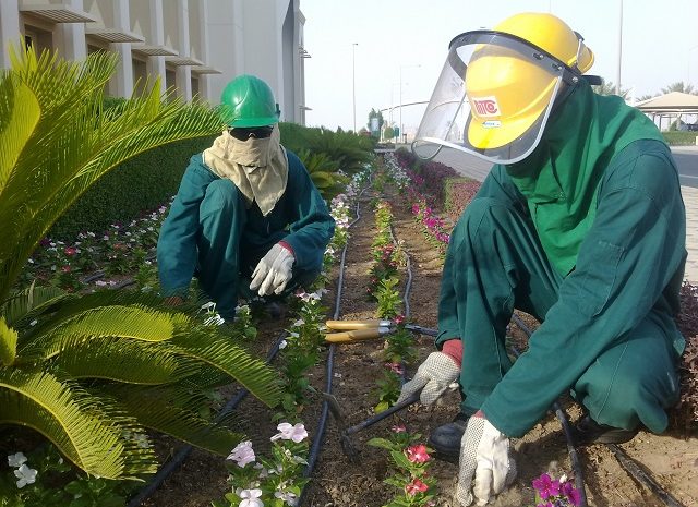  Landscape maintenance services at Oryx GTL